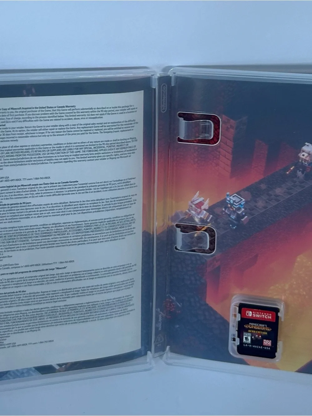 Nintendo Minecraft Dungeons Hero Edition - Red & Black Cover